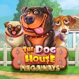 The Dog House Megaways gra w Fortuna Casino dla graczy z Polski