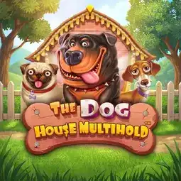 The Dog House Multihold gra w Fortuna Casino dla graczy z Polski